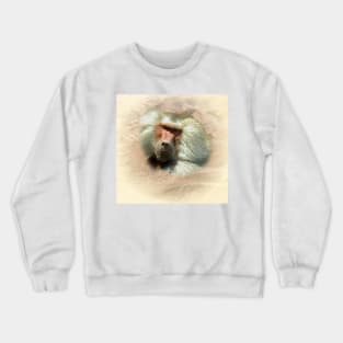 Baboon Crewneck Sweatshirt